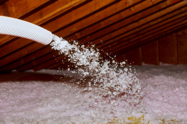 Types of Insulation We Offer in Elkton, MD