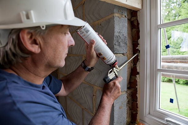 Best Specialized Insulation Services in Elkton, MD